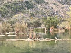 -靖西鹅泉风景区