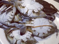 聚盛源自助烤涮城-聚盛源蒸汽海鲜火锅烤肉自助(巨川金海岸购物广场店)