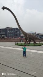 -恐龙探索乐园(磁器口店)