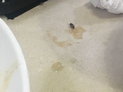 -菜忠潮州牛肉店(岗厦店)