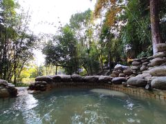 -三江森林温泉度假区