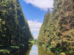 -黄海国家森林公园