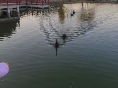 -河北省园博园