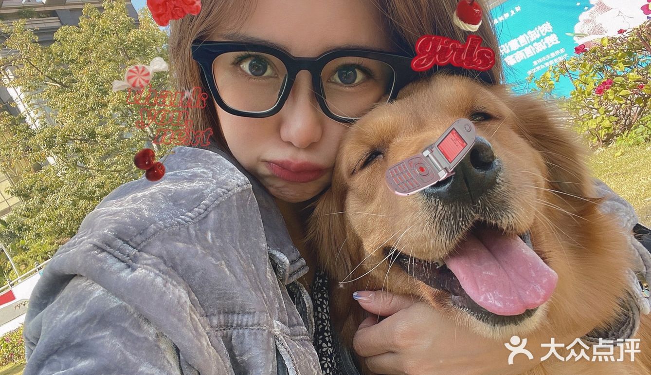 2020最后一天写给汪星人