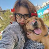 2020最后一天写给汪星人