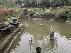 -棕榈岛海鲜自助餐厅(虹桥迎宾馆店)