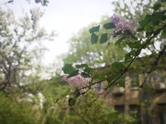-山东大学(趵突泉校区)