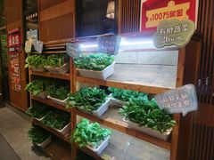 -福苗小骆驼烧烤(曲江店)