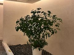 -天海日餐厅-青岛海泉湾皇冠假日度假酒店