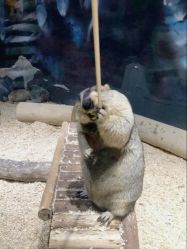 -酷嗒动物文化乐园(cutezoo西溪乐天城店)