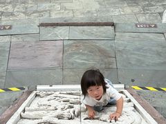 -黄贤森林公园