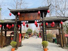 -合肥滨湖国家森林公园