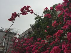 -广州市紫泥堂文化创意园景区