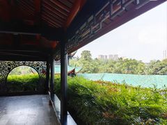 -桂湖森林公园
