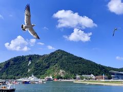 -大连老虎滩海洋公园