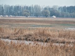 -野鸭湖国家湿地公园