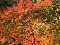 -本溪老边沟风景区