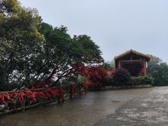 -广州市帽峰山景区
