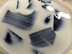 -加减茶饮(高沙店)