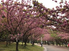 -苏州河梦清园环保主题公园