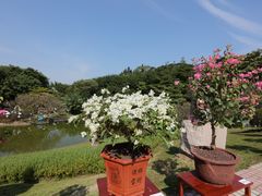 -广州雕塑公园