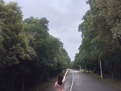 -艾溪湖湿地公园