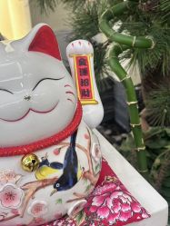 -芳朵美容养生SPA