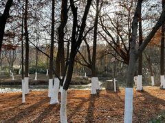 -鱼酷活鱼烤鱼(南京水游城店)