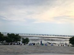 -宝安西湾红树林湿地公园