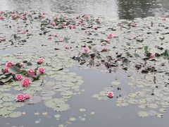 -丁家河公园