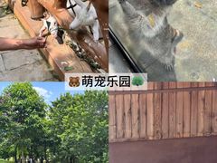 -佛冈森波拉度假区