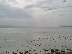 -深圳湾公园(南山区)