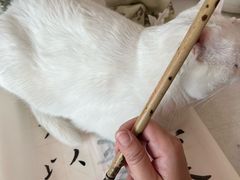 -戴月轩(琉璃厂东街店)