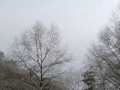-终南山国家森林公园