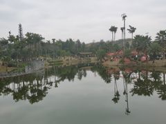 -枫香湖儿童公园