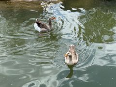 -鄂尔多斯野生动物园