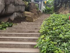 -广州兰圃
