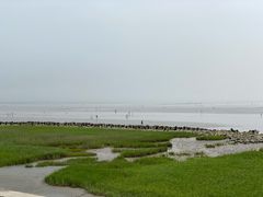 -南汇嘴观海公园