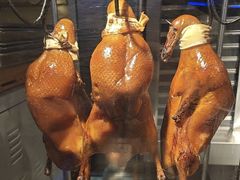 -尚府一品·烤鸭·新京菜(圆明园店)
