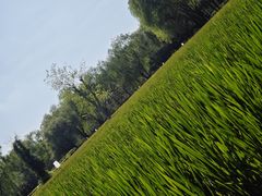 -北坞公园