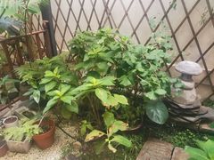 -边渡咖啡烘焙店(昙华林店)