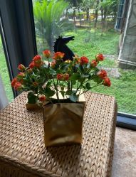 -JC·YOGA静禅瑜伽普拉提