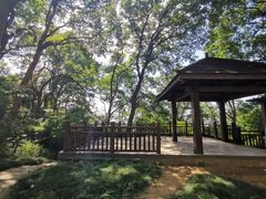-紫金山山顶公园