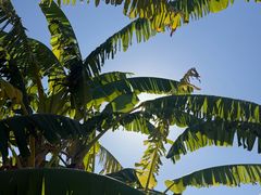 -福州海峡文化艺术中心