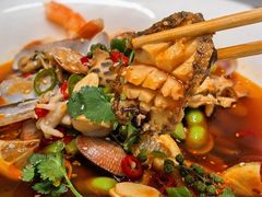 -金龙·打边炉(南京西路店)