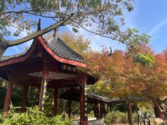 -堤角公园