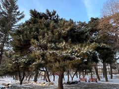 -长春市南湖公园