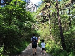 -沈阳辉山风景区