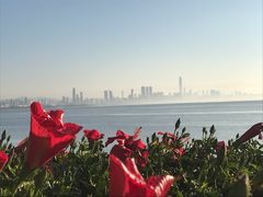 -深圳湾公园(南山区)