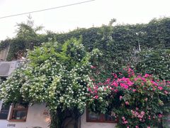 -小时光咖啡馆(北锣鼓巷店)